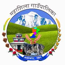 Local Government Logo